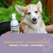 Healthy Dog Co 6-in-1 Natural Dog Shampoo & Conditioner - Odor Control Gentle & Moisturizing for Long Hair - 500ml Puppy Shampoo - Buy Online on SooperMarket.com