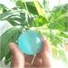 Natural Crystal Rough Ornament Natural Blue Cat Eye Quartz Crystal Stone Ball 40mm for Decoration 1PC 1pc 4cm - Buy Online on SooperMarket.com