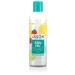 JASON Kids Only! Extra Gentle Shampoo 17.5 Ounce Bottle