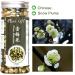 PlantGift Snow Plum Blossom Tea 60G/2.11oz Blossom Tea Flower Chinese Dried Plums Health Tea - Buy Online on SooperMarket.com