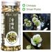 Buy Organic Snow Plum Blossom Tea | Anti-Aging Dried Flowers Tea - 60g - Buy Online on SooperMarket.com