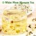 Organic White Plum Blossom Tea - Dried Flower Herbal Green Tea 35g | Plant Poison White Plum Flower Tea for Health Benefits - Buy Online on SooperMarket.com