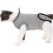BT Bear Pet Surgery Recovery Suits Cats Clothes Abdominal Wounds Skin Diseases E-Collar Alternative Cotton Cat Shirt for Cats Puppy Small Dogs (XXS-Back length 25cm) XXS--Back length 25cm Chest--27cm - Buy Online on SooperMarket.com