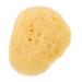 FOYTOKI Natural Sponge Greece Facial Cleansing Sponge Face Sponges for Cleansing and Exfoliating Face Cleansing Pads Facial Sponges for Women Face Sponge for Washing Face Cleansing Sponges