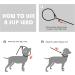 Fida Heavy Duty Slip Lead Dog Leash 1/2 x 6ft - Durable, Comfortable & Reflective Rope Leash for Large, Medium & Small Dogs - Buy Online on SooperMarket.com