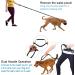 Philorn Super Elastic Freehand Dog Leash 120-170 cm with Belt Pocket - Jogging Leash for Large Dogs Up to 65 kg Reflective & Bungee Design - Perfect for Active Dog Owners - Buy Online on SooperMarket.com