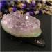 Natural Amethyst Hand Carved Gemstones Animals Cluster geode Quartz Crystals Hedgehog Minerals Home Decor Gift Home Collections (Color : Amethyst Size : 140g) 140g Amethyst - Buy Online on SooperMarket.com