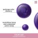 Matrix Biolage Color Last Purple Shampoo - Neutralize Brass & Yellow Tones - Fig & Orchid Formula - Paraben-Free - For Color Treated Hair - Vegan - Cruelty Free - 13.5 Fl Oz - Buy Online on SooperMarket.com