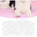 Zerodis 100 Pcs Cat Nail Cover Protector Soft Pet Nail Cap Cover Safe Anti Scratch Dog Paw Claw Protector Covers Claw Care for Cats Dogs (L-white) L white - Buy Online on SooperMarket.com