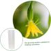 Happyyami 10 Pcs Vegetable Shaping Cucumbers Cucumber Styling Fruits Shaping Modeling Suite - Buy Online on SooperMarket.com