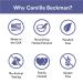 Camille Beckman Fragrant Body Mist Alcohol Free Blackberry Lavender 8 Ounce Blackberry Lavender 8 Fl Oz (Pack of 1) - Buy Online on SooperMarket.com