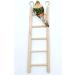 Wooden Bird Parrot Cage Climbing Ladder Toy - 2pcs (5 Step & 7 Step) - Buy Online on SooperMarket.com