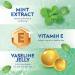 Vaseline Lip Therapy Mint with Backer Card - Hydrating Lip Balm - Buy Online on SooperMarket.com