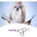 Dog Grooming Scissors Stainless Steel Pet Curved Shears Cutting Trimming Scissors with Round Tip for Grooming Dogs Cats - Buy Online on SooperMarket.com