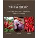 Garlic and chili sauce 200g/can handmade chili sauce in China main course and side dishes rice toppings ready to eat food special spicy chili sauce black bean sauce (1 can) - Buy Online on SooperMarket.com