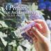 RawChemistry Delight Pheromone Infused Perfume Oils for Women I Roll On Tavel Size Perfume I White Musk Vanilla Perfume for Women - Buy Online on SooperMarket.com
