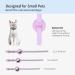 Kocnydey Reflective Airtag Cat Collar - Adjustable Anti-Wing Collars with Bell for Cats & Small Dogs (Purple XS 19-26cm) - Buy Online on SooperMarket.com