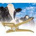 iFCOW Alloy Livestock Ear Tag for Farm Animals - Cow, Sheep, Rabbit - Buy Online on SooperMarket.com