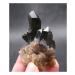 Meditation Home Decor Natural Black Quartz Crystal Cluster Natural ore Sample Stone Healing Crystal for Home Decoration Collection and Gift Meditation Reiki 80g-100g Black