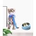 2 Pack Stainless Steel Pet Cat Bowl Cat Food Bowl Cat Water Bowl (200 ml black+white) black+white 200 ml - Buy Online on SooperMarket.com