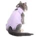 BT Bear Cat Professional Surgical Recovery Suit Cat Clothes for Abdominal Wounds or Skin Diseases (M Purple) 1.36 kg (Pack of 1) Purple