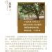 Pu-erh tea 2016 brown legend 357g Raw - Buy Online on SooperMarket.com