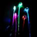 12pcs LED Light Fiber Optic Butterfly Hair Clips for Girls & Women - Party Favors in Assorted Colors - Buy Online on SooperMarket.com