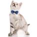 Personalized Breakaway Cat Collar with Bow Tie & Bell - Blue | Stainless Steel ID Tag Engraved | Name & Phone Number | 1 Pack - Buy Online on SooperMarket.com