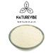 Naturevibe Botanicals Organic Quinoa Flour 2lbs - Non-GMO & Gluten Free - Protein Rich | Packaging May Vary - Buy Online on SooperMarket.com