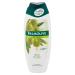Buy Palmolive Olive Shower Gel 500ml - Nourishing & Refreshing | International Shipping Available - Buy Online on SooperMarket.com