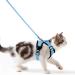 Cat dishes with a leash breakproof cat leash set adjustable soft kitten vest with reflective stripes breast dishes for small kitten (light blue s) light blue s