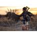 Elimishield HUNT Core Body Foam - Odor Eliminator for Hunters (Unscented) - Buy Online on SooperMarket.com