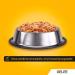 Pedigree Multipack - 3.6KG Mixed Jelly Selection (Chicken Beef Liver Poultry Lamb) - 4 Varieties for Dogs - International Shipping Available - Buy Online on SooperMarket.com