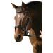 Henri de Rivel Padded Raised Dressage Bridle with Crank Noseband Black Horse