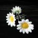 FRCOLOR Daisy Hair Clips 12Pcs - Bridal Floral Bobby Pins for Wedding Beach Party - Buy Online on SooperMarket.com