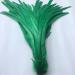 Shekyeon 16-18inch 40-45cm Rooster Coque Tail Feather for Costume Decoration Pack of 20 (Dark Green)