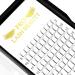 Shop 3D 4D 5D 6D Finished Eyelash Extensions - 0.07 & 0.10 Volume 8-15mm Mix - International Shipping - Buy Online on SooperMarket.com