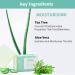 Nykaa Naturals Tea Tree & Aloe Vera Bathing Soap - Natural Skin Cleanser Nourishing & Hydrating Soap Bar - 3.5 oz - International Shipping Available - Buy Online on SooperMarket.com
