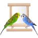 2Pcs Parrot Hanging Swing Mirror Fun Wooden Parrot Mirror Hanging Wooden Bird Mirror Toy Parrot Toy Budgie Mirror for Small Birds - Buy Online on SooperMarket.com