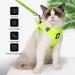 Shop Lianzimau Cat Dishes & Ultra Light Escape Protection Vest for Kittens - Adjustable Soft Network Jacket (1 Pack) in Fruit Green - Buy Online on SooperMarket.com
