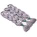 Buy Tess Braids Extensions 60 cm - Jumbo KanCalon Kunsthaar for Box Braids - 100g Silver Gray Hair Extension - Buy Online on SooperMarket.com
