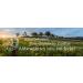 Mills Rye Grains 1kg - Fresh Whole Grain Cleaned Rye Kernels | High-Quality Rye from R tze Mill - Buy Online on SooperMarket.com