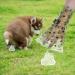 Crown Paws 540 Biodegradable Dog Poo Bags - 36 Rolls | Adjustable Dispenser | Leak Proof & Lavender Scented - Buy Online on SooperMarket.com