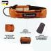 Teamwalk Premium Dog Collar | Magnetic Handle Light Strip Adjustable | Rust Red (L) 5cm | Soft & Durable with Matching Leash Available - Buy Online on SooperMarket.com
