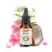 Noms+ Zpot-on tick repellent for cats annual supply | Spot On with natural active ingredients | against ticks mites fleas sand flies