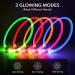 BSEEN LED Dog Collar Light - USB Rechargeable Glowing Collar for Small, Medium & Large Dogs in Green - Buy Online on SooperMarket.com
