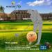 Kaede 2 Tone Colored Golf Balls (6-Pack) - Fly Distance Technology - Buy Online on SooperMarket.com