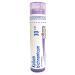 Kalium Bichromicum 30ch Boiron Homeopathic Medicine