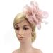 FRCOLOR Fascinator Feather Headband / Clip Party Wedding Royal Ascot Races Hair Accessories Headdress (Nude Pink) - Buy Online on SooperMarket.com