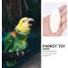 5pcs Small Cuttlefish Bone for Parrots | Natural Calcium Chew Toy for Birds - Buy Online on SooperMarket.com